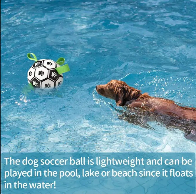 Interactive Dog Soccer Ball - Dog Football Toy for Fetch & Play